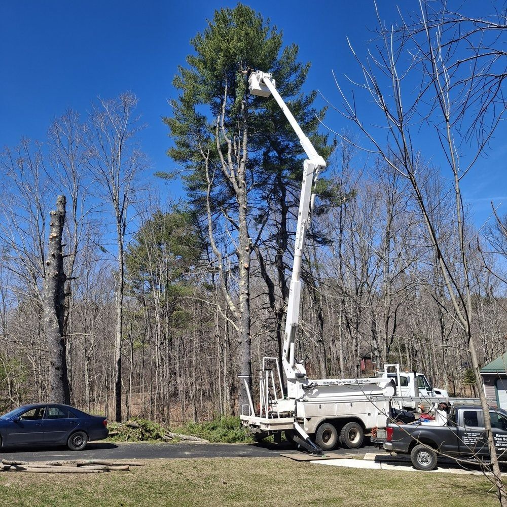 Two arborists in a lift trimming tree branches, wearing red overalls and safety helmets, against a blue sky.