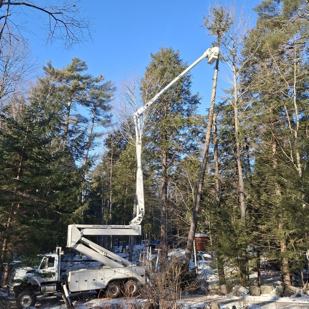 A claw crane lifting wood planks from a pile, against a cloudy blue sky.