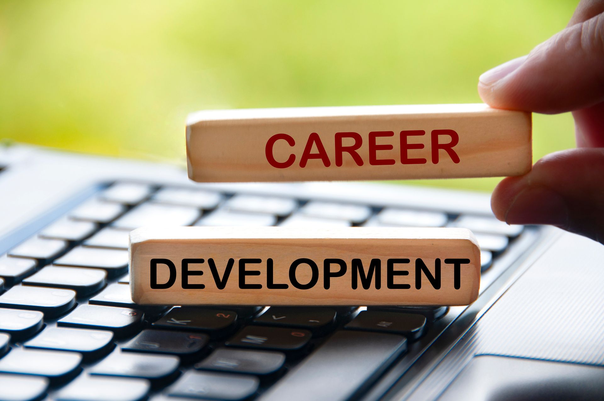 A person is holding two wooden blocks with the words career and development on them.