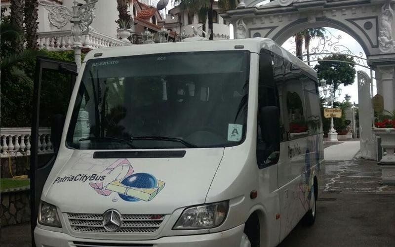 Minivan per il trasporto disabili