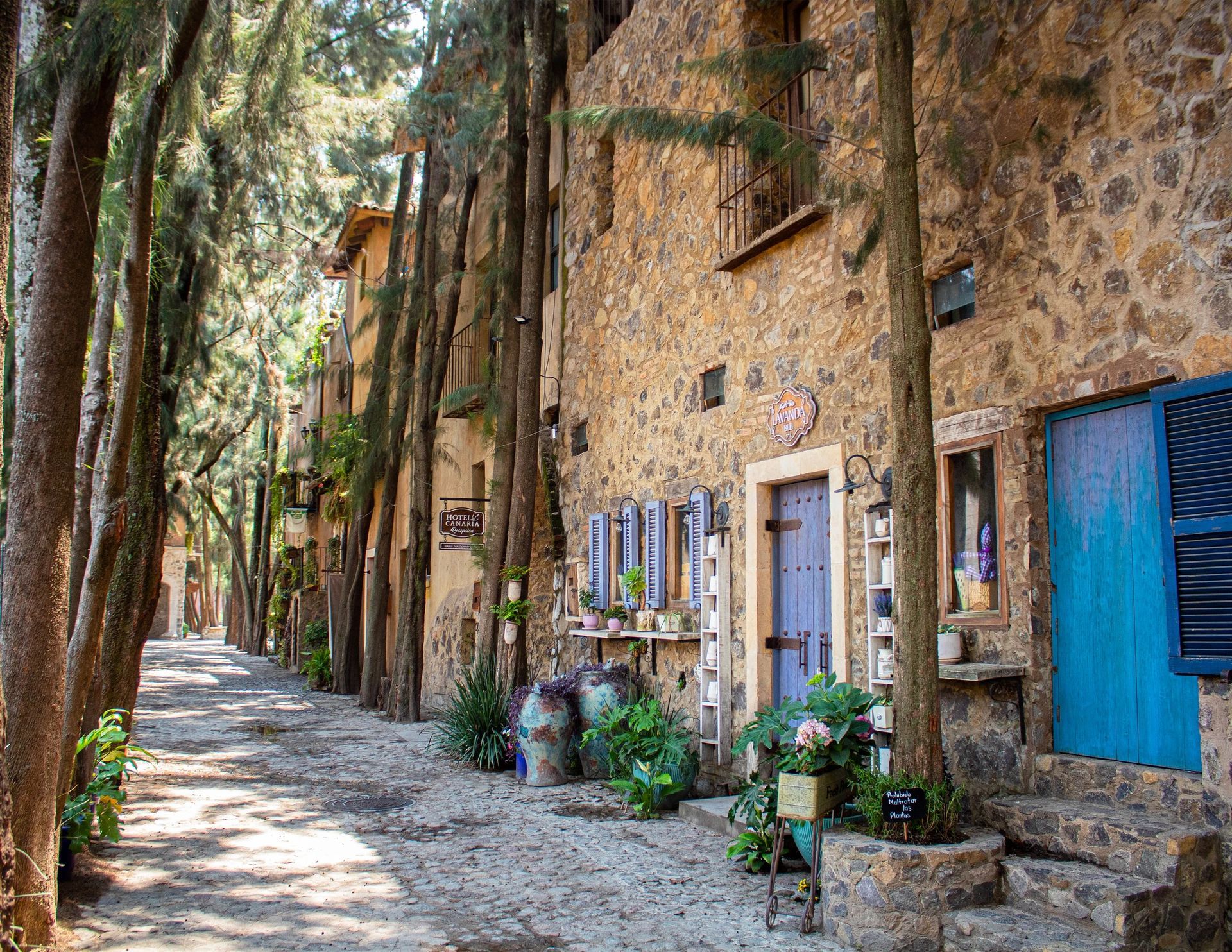 Cobblestone street lined with trees and stone buildings, with blue doors and shutters.