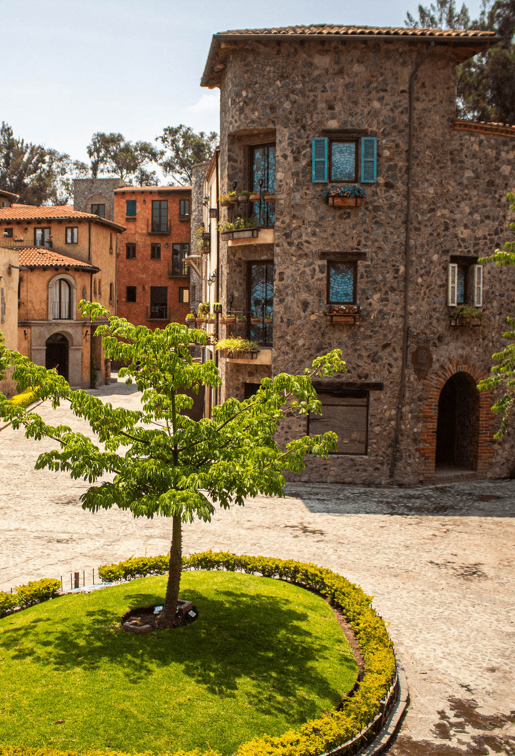 Stone buildings in a European-style plaza, a small tree in the foreground, blue shutters, and sunny day.