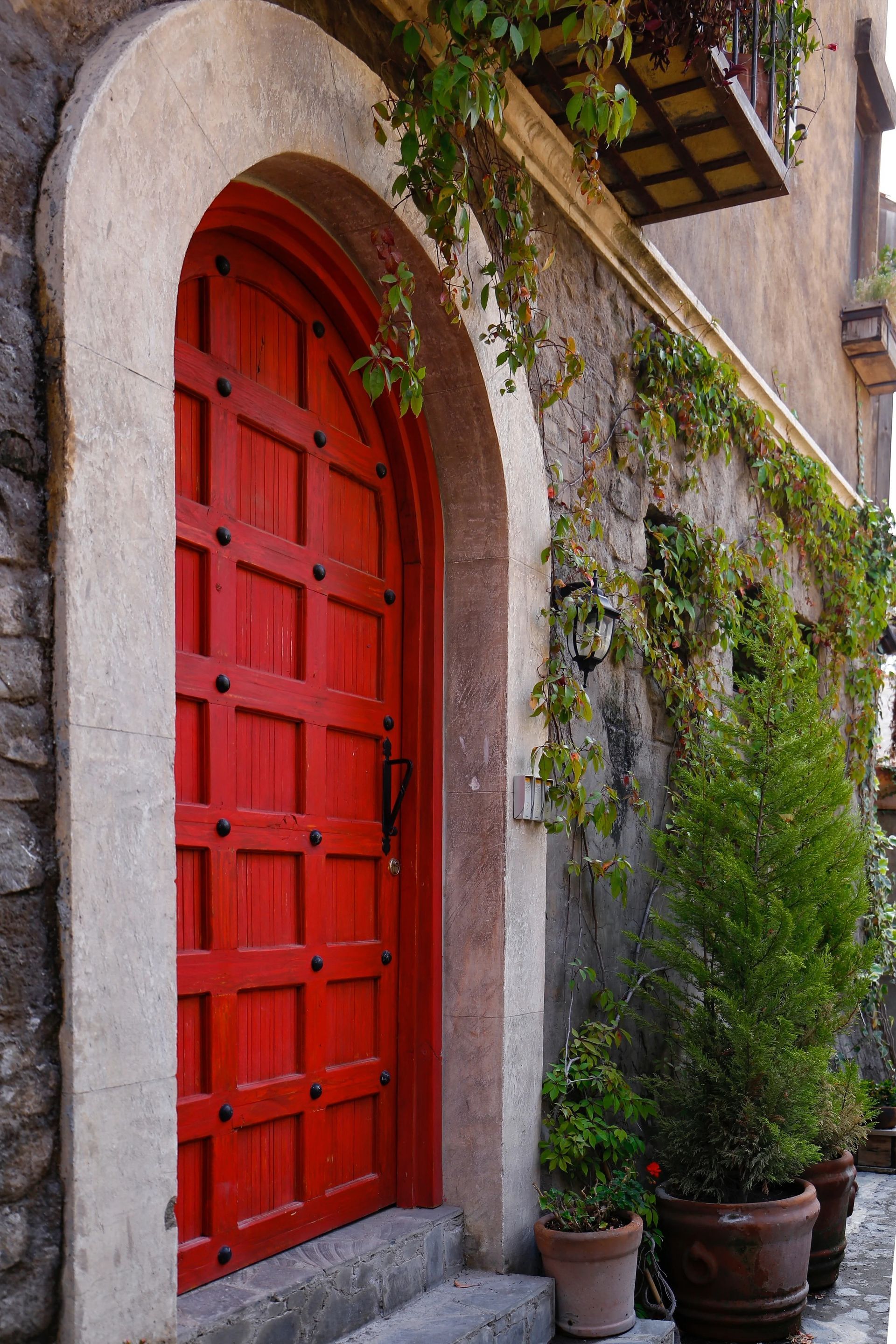 Red wooden door in stone archway, flanked by potted plants, with vines trailing nearby.