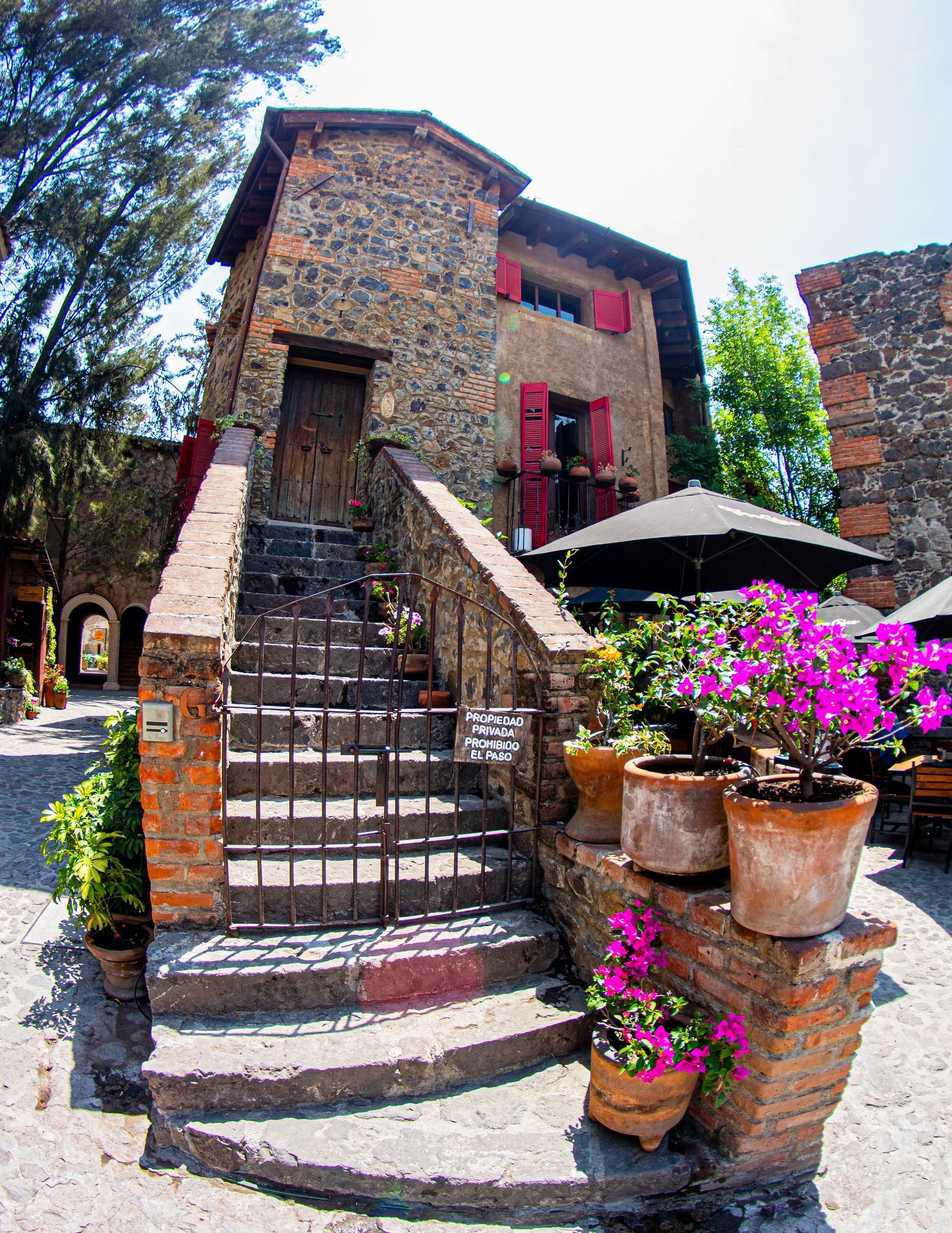 Stone building with red shutters, brick stairs, potted flowers.