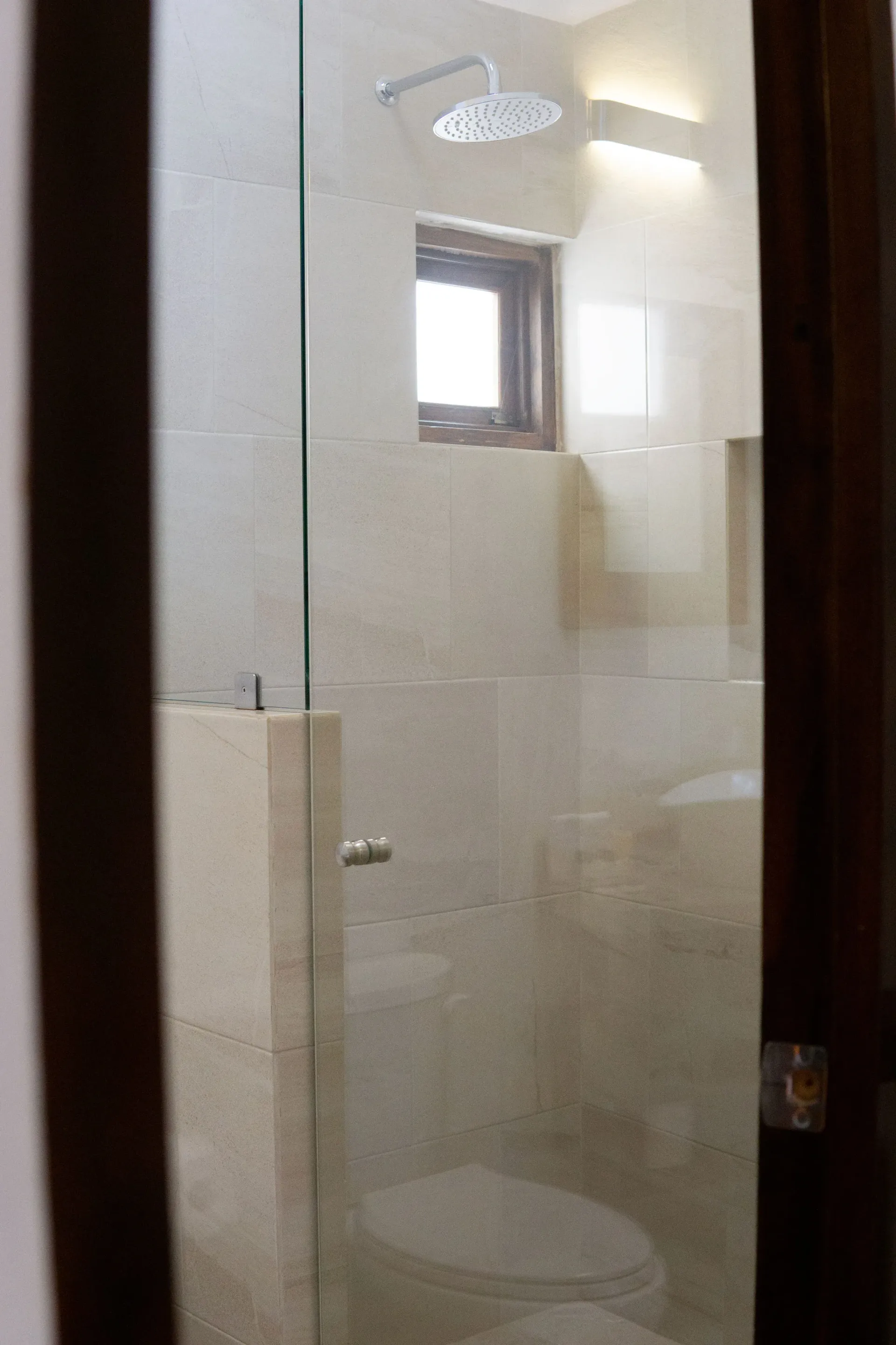 Cabina de ducha con puerta de cristal, inodoro y cabezal de ducha.