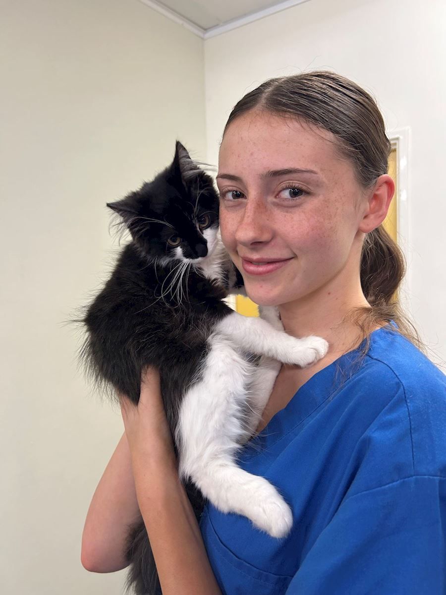 A woman in a blue scrub is holding a black and white cat.