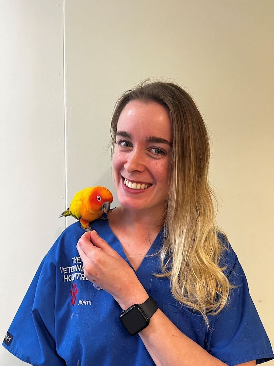 A woman in a blue scrub top is holding a parrot on her shoulder.