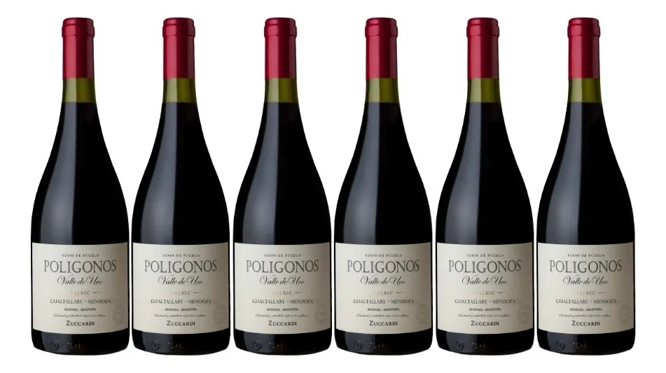 Polígonos del Valle de Uco Gualtallary Malbec Caja de 6 Botellas  de 750cc