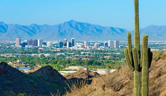 A saguaro cactus is standing in front of a Phoenix skyline with mountains in the background.