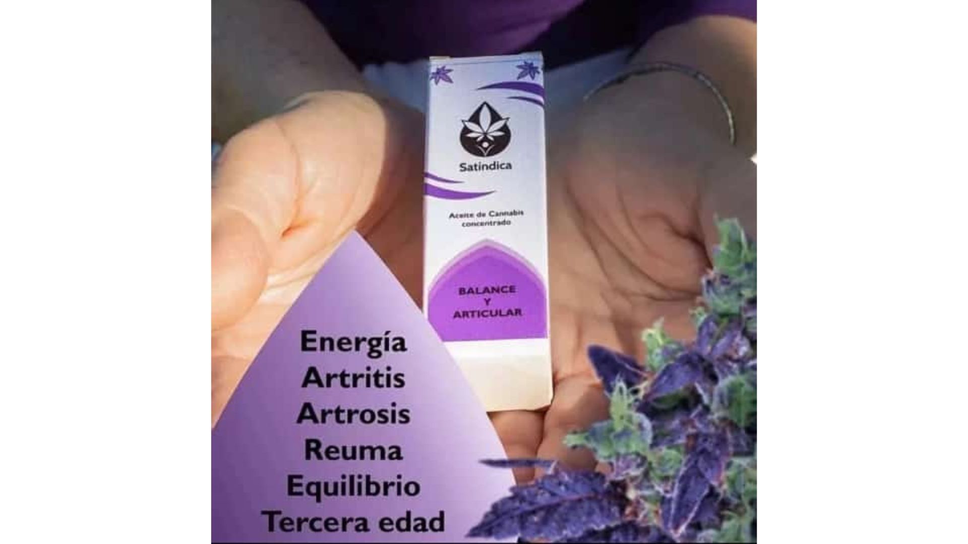 Manos sosteniendo un tubo de aceite de CBD morado y blanco. Texto: energía, artritis, equilibrio