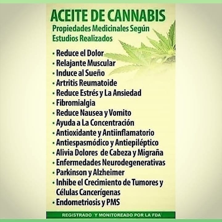Gráfico vertical que enumera las propiedades medicinales del aceite de cannabis.