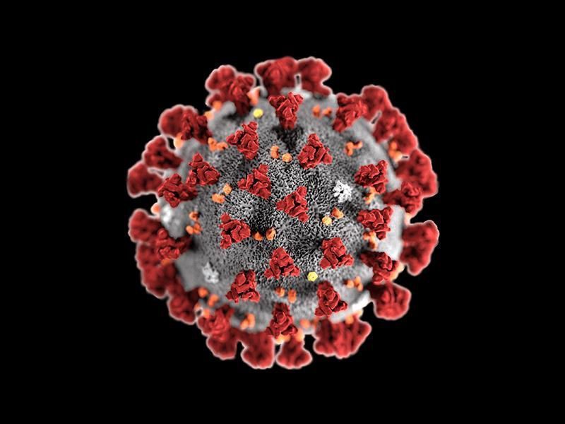 A close up of a virus on a black background.