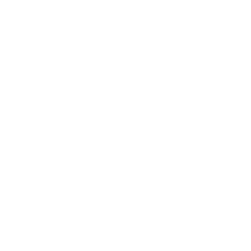 professional service