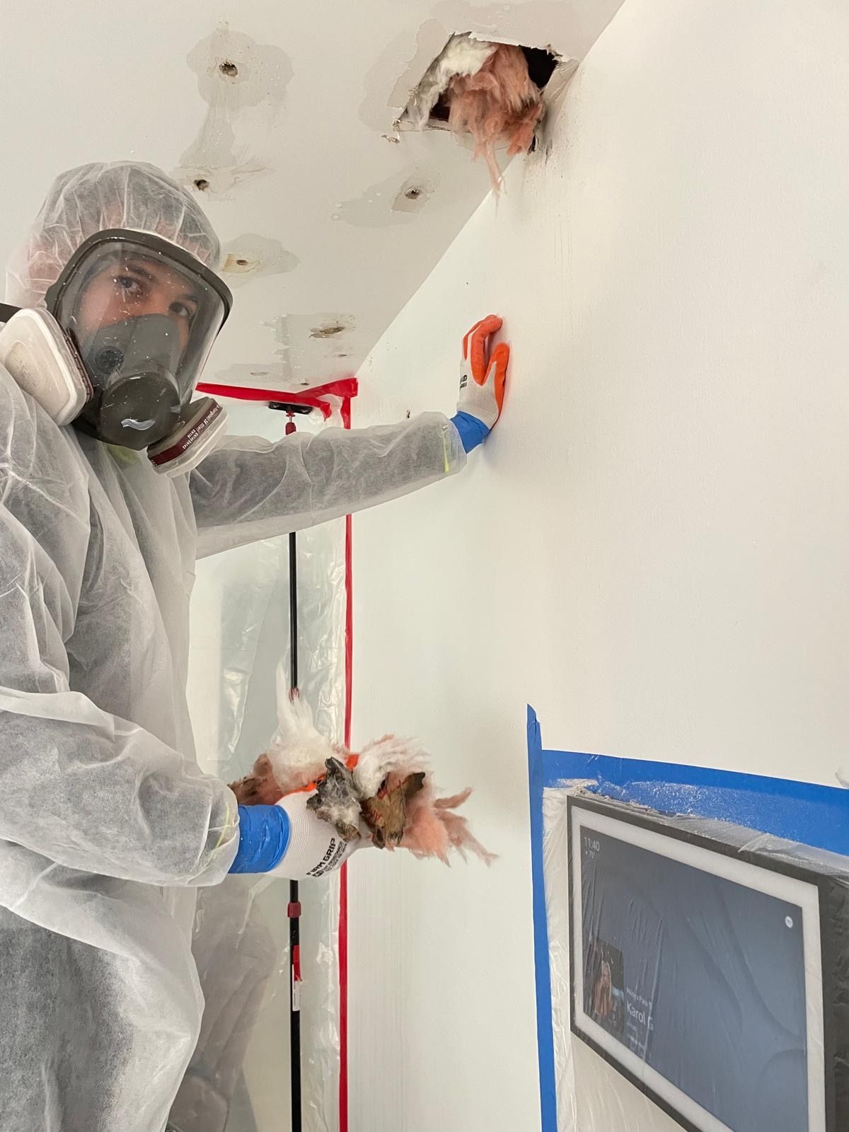 Mold remediation, Mold Mitigation and mold restoration and repairs by Well Home Solutions in Ocala, Florida Call 305-224-1666