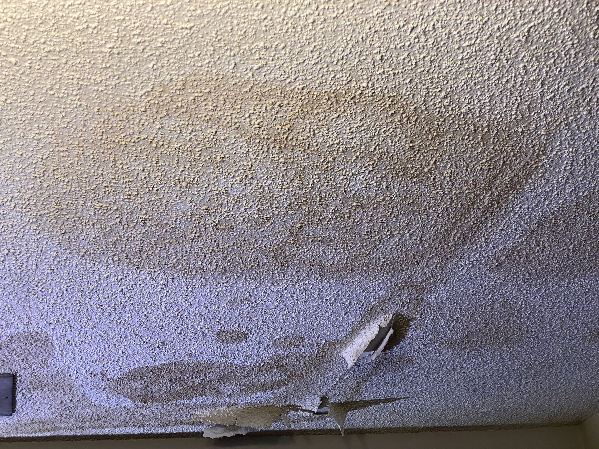 Hurricane Damage restoration and repairs by Well Home Solutions in Ocala, Florida Call 305-224-1666