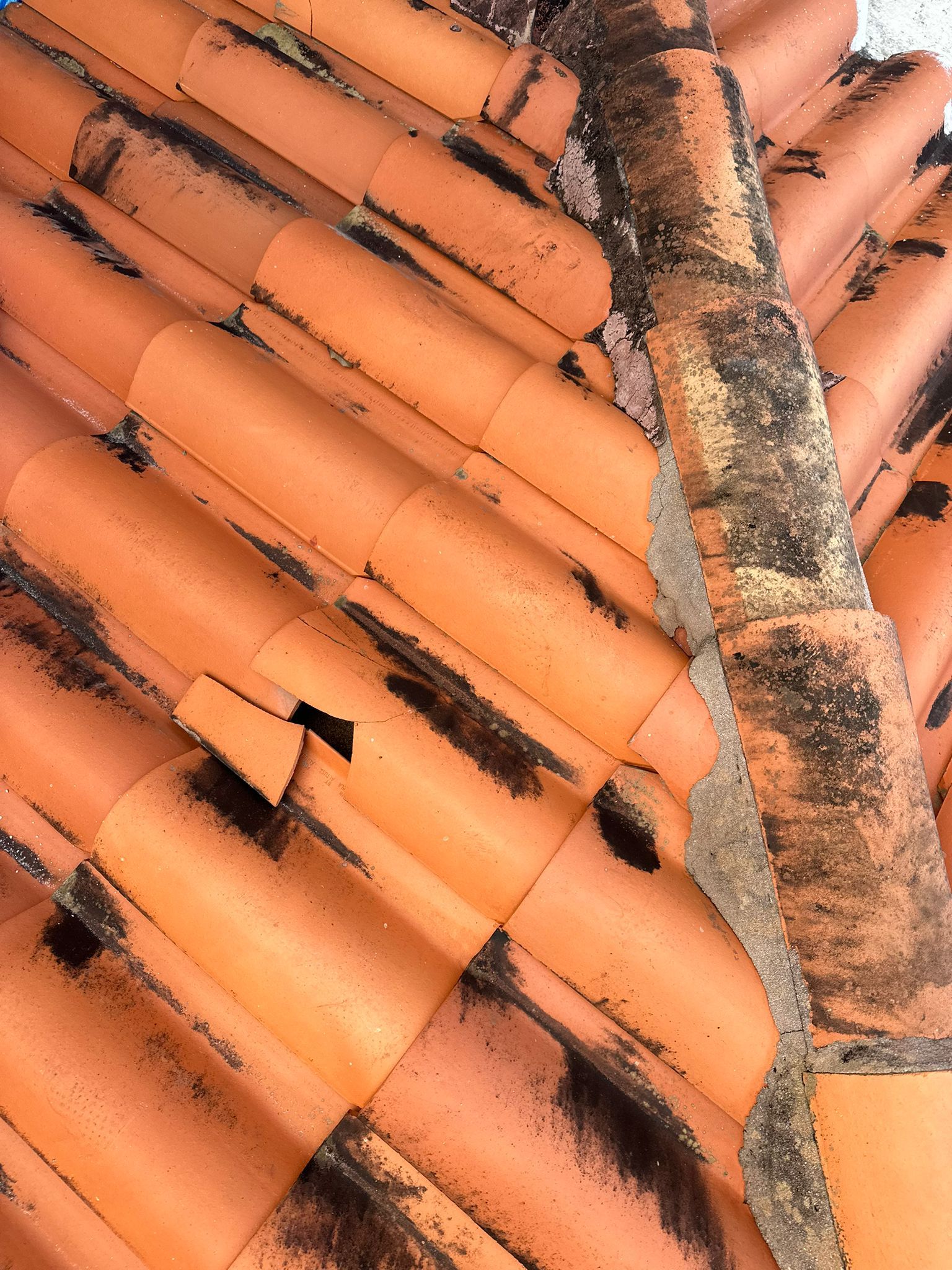 Hurricane Damage restoration and repairs by Well Home Solutions in Ocala, Florida Call 305-224-1666