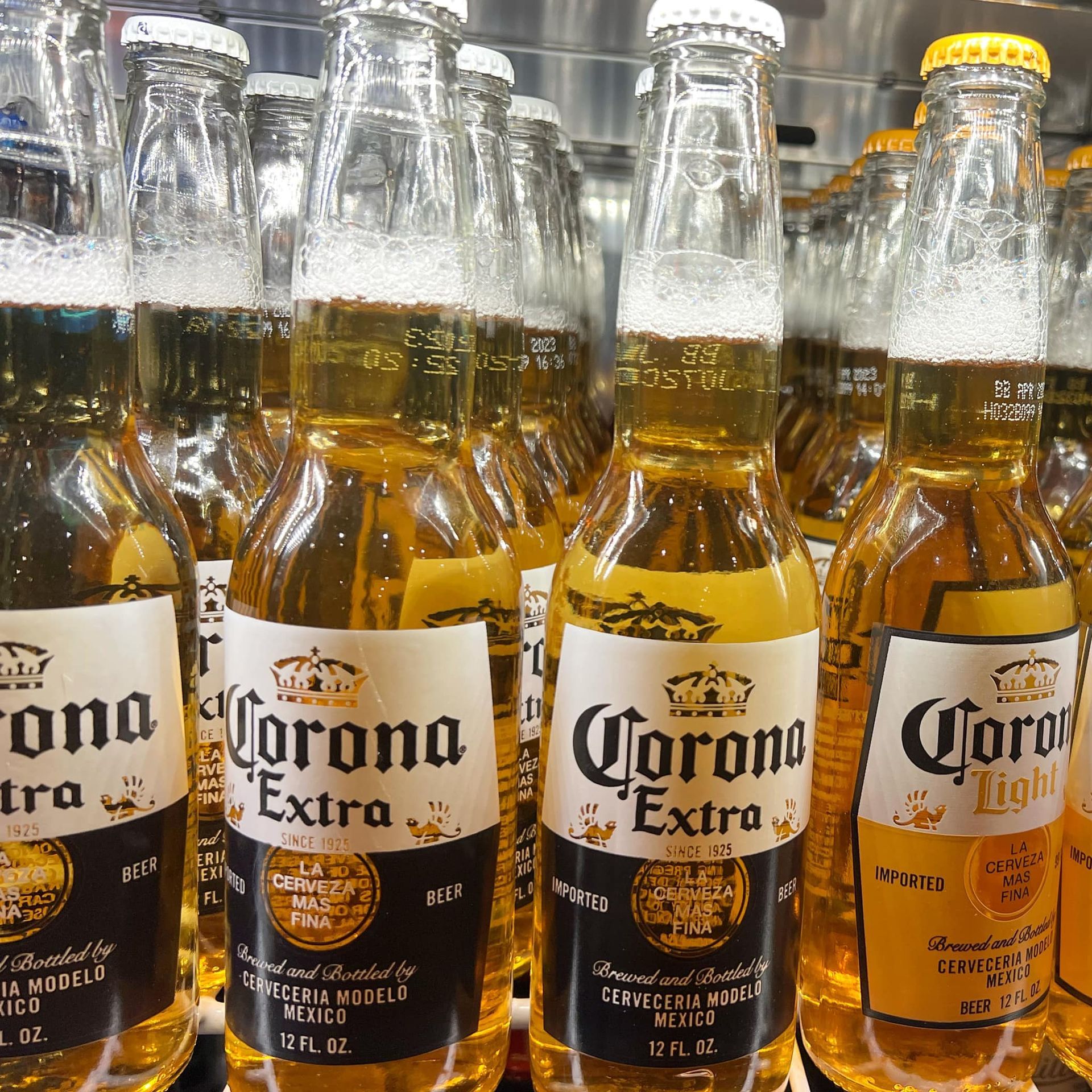 Several bottles of corona extra beer are lined up on a shelf