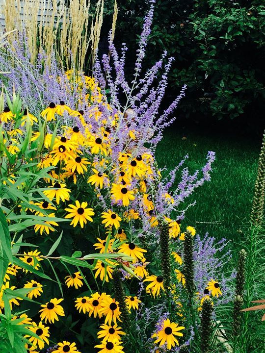 7 Sisters Greenhouse and Wedding Venue