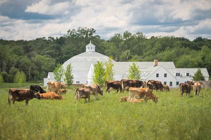 churchtown dairy barn design churchtown dairy barn design