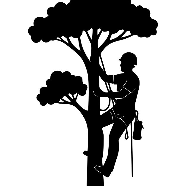 peoria il tree removal