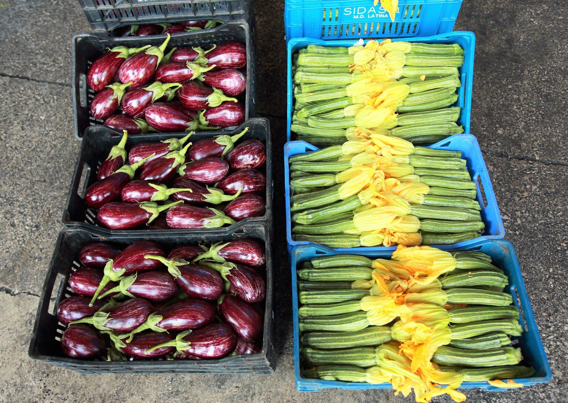 cassette di melanzane e zucchine