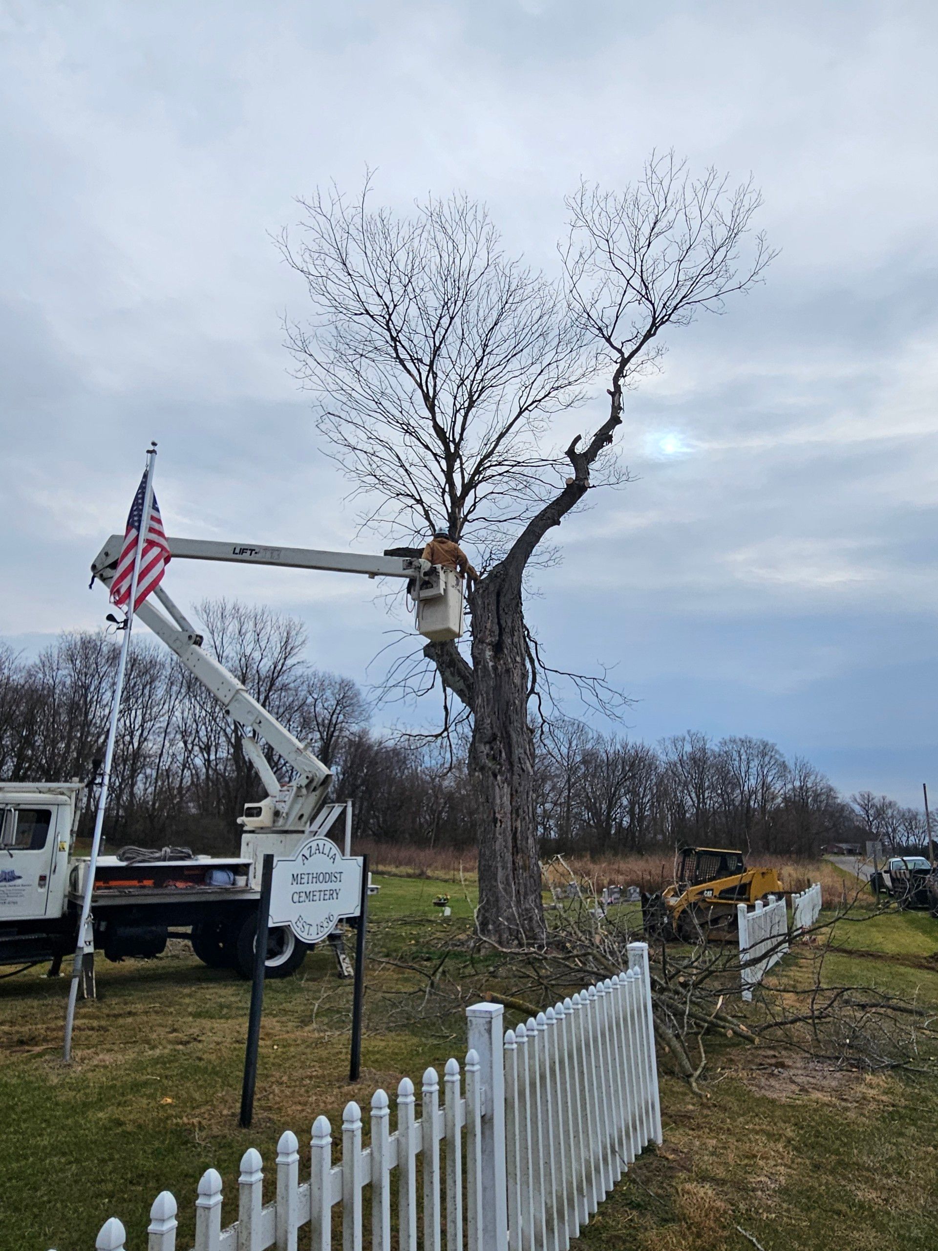 Tree Trimming — North Vernon, IN — Mullins & Family Outdoor