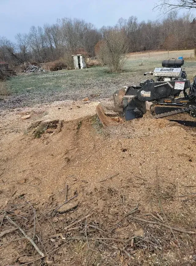 Stump Grinding — North Vernon, IN — Mullins & Family Outdoor