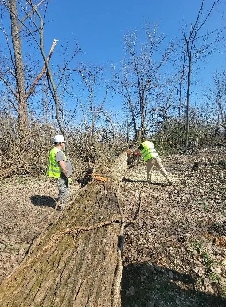 Man Cutting Log — North Vernon, IN — Mullins & Family Outdoor