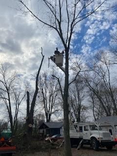 After Tree Trimming — North Vernon, IN — Mullins & Family Outdoor