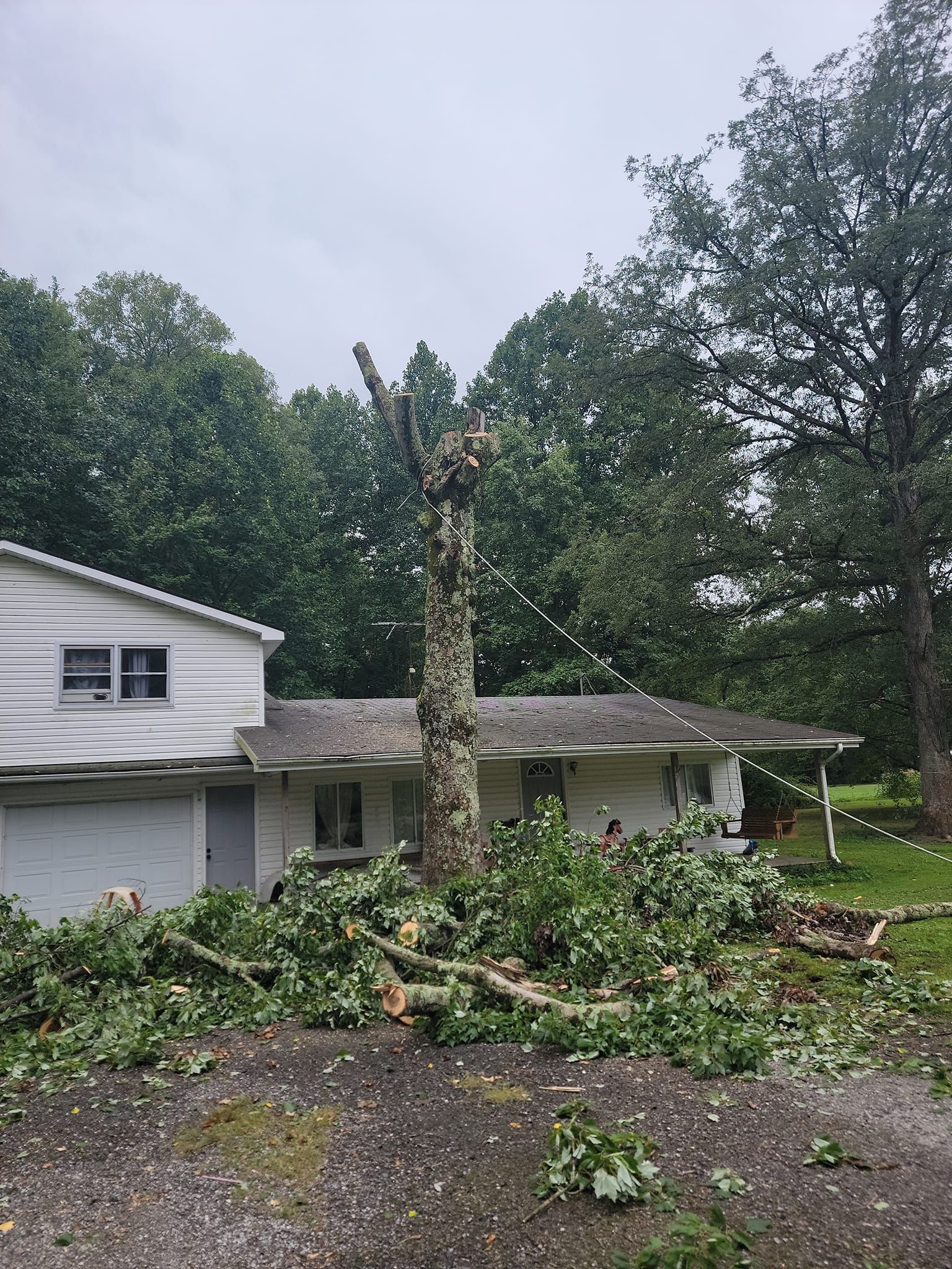 Tree Removal — North Vernon, IN — Mullins & Family Outdoor