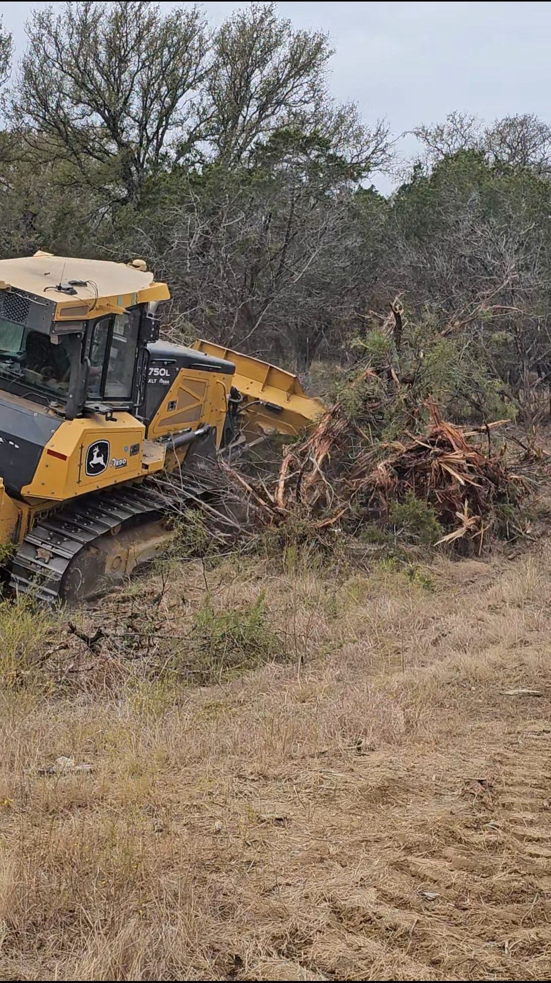 A bulldozer is cutting down trees in a field.