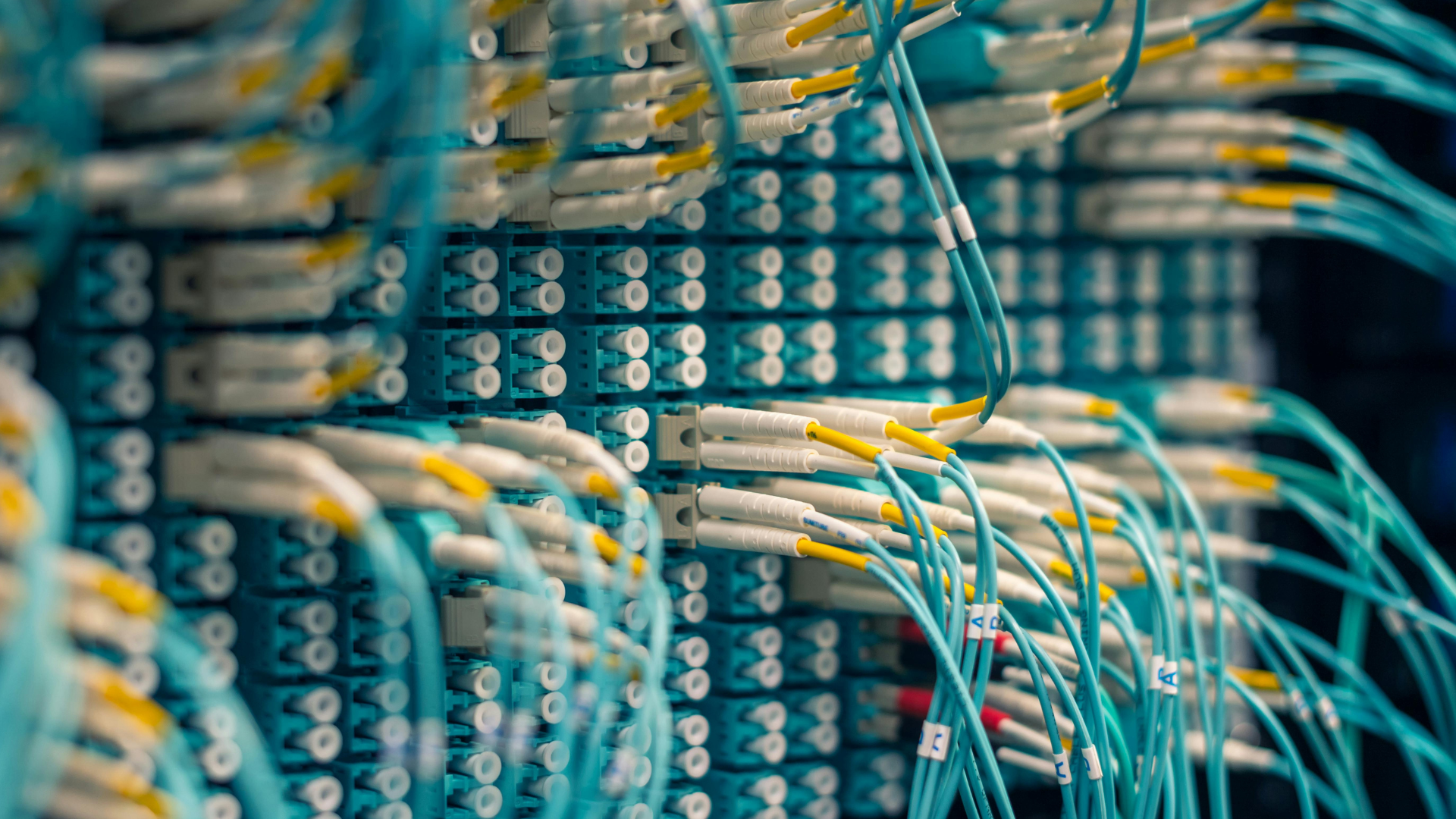 Blue and yellow network cables plugged into a server rack.