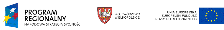 Narodowa Strategia Spójności, Województwo Wielkopolskie i  Europejski Fundusz Rozwoju Regionalnego