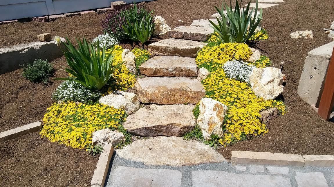 Stone steps in a garden bed, surrounded by yellow ground cover and greenery.