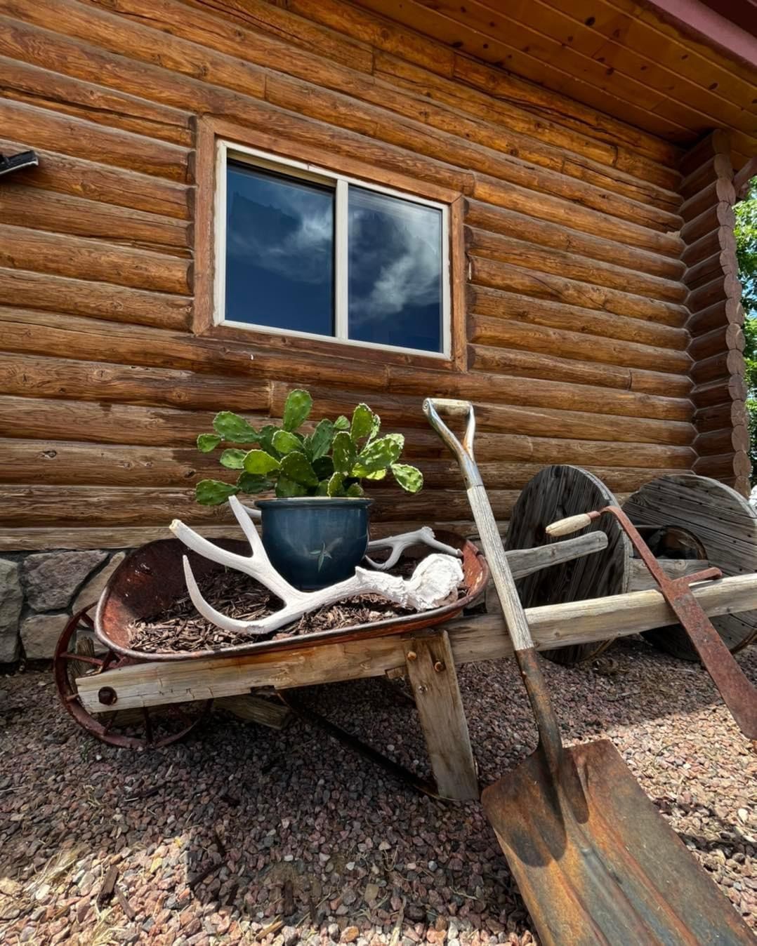 The Squeegee Puller Window & Exterior Cleaning Service