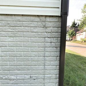 This foundation crack could mean costly repairs due to sinking soil under the house.