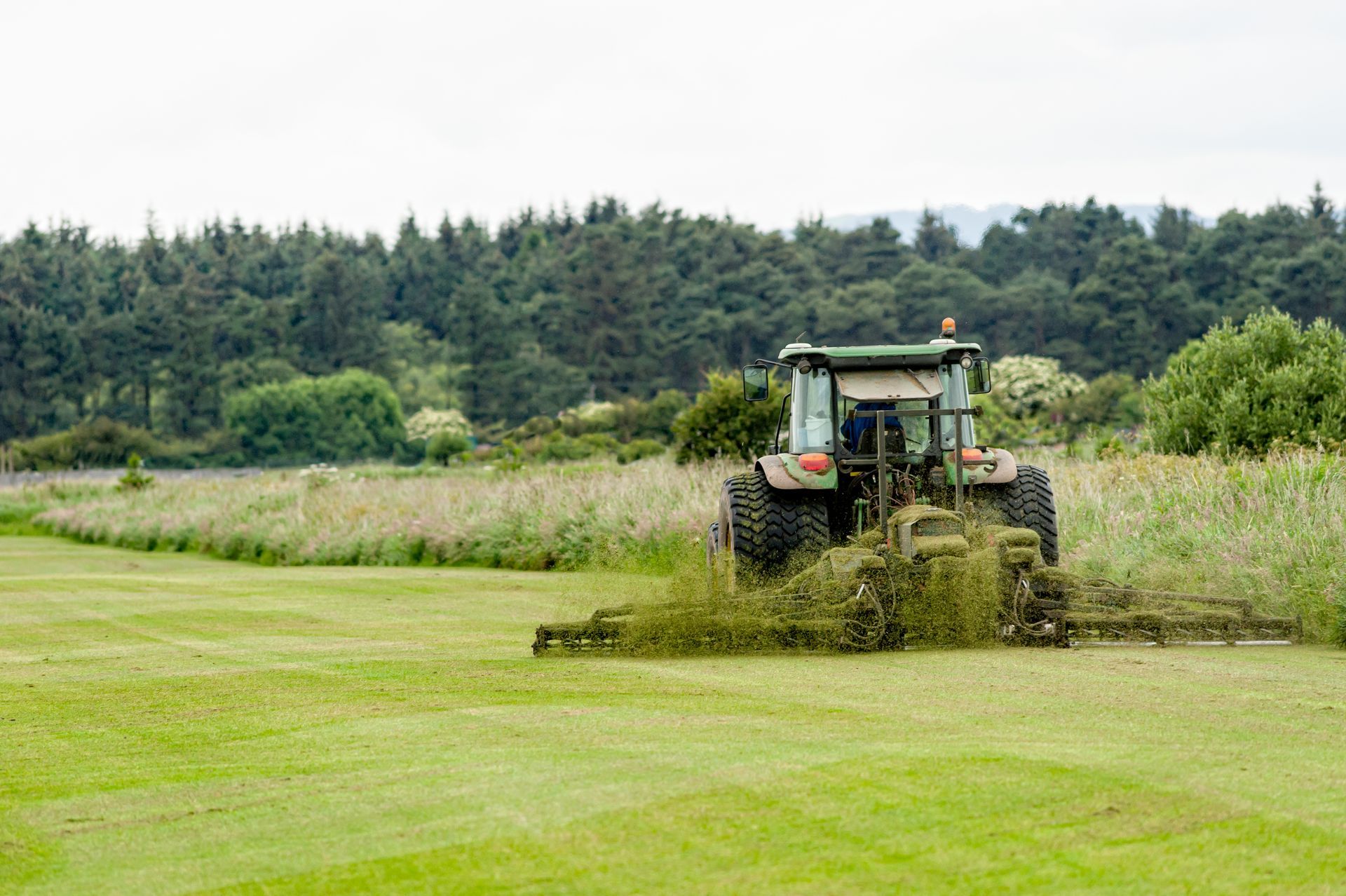 A green tractor mows tall grass on a field, with a forest in the background.