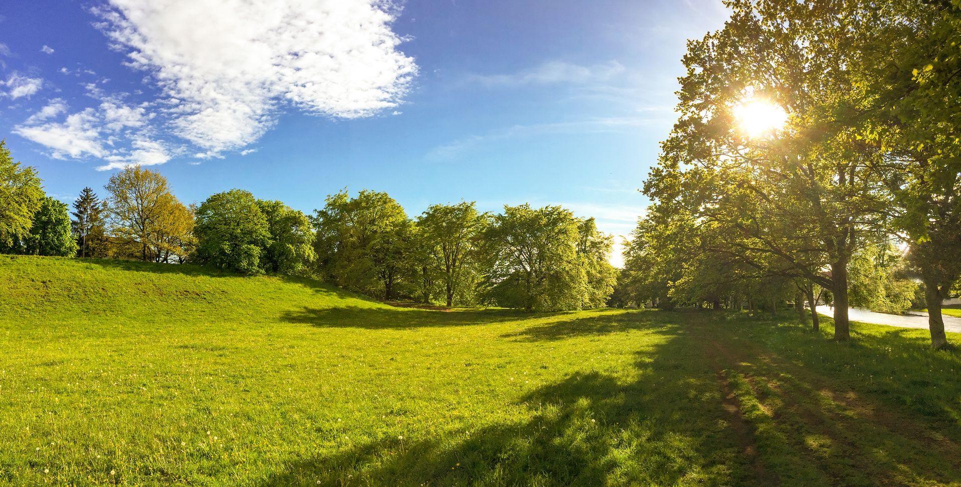Bright sun shines through green trees over a grassy hill under a blue sky with soft white clouds.