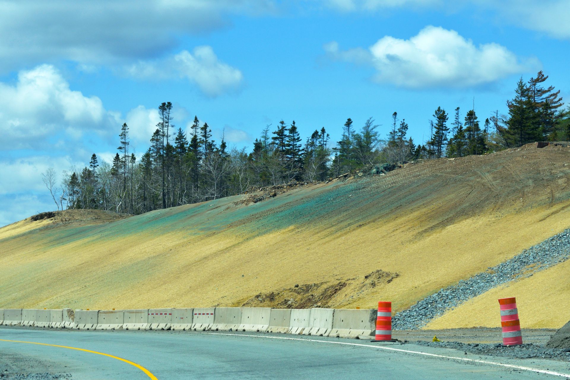A roadside slope covered in yellow erosion control matting and blue hydroseeded patches, with trees above and traffic cones.