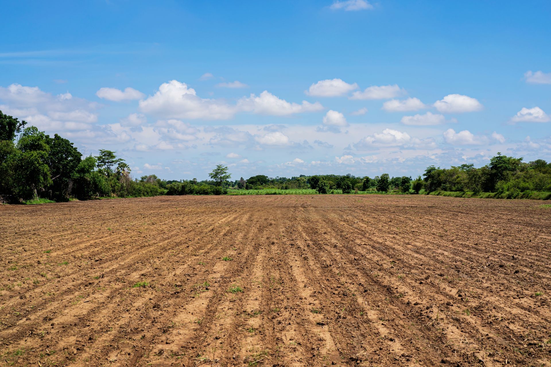 A freshly tilled brown field with visible furrows under a bright blue sky with scattered clouds.
