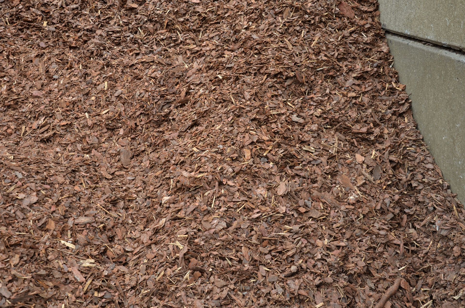 A top-down view of brown wood mulch spread on the ground next to a concrete edge.