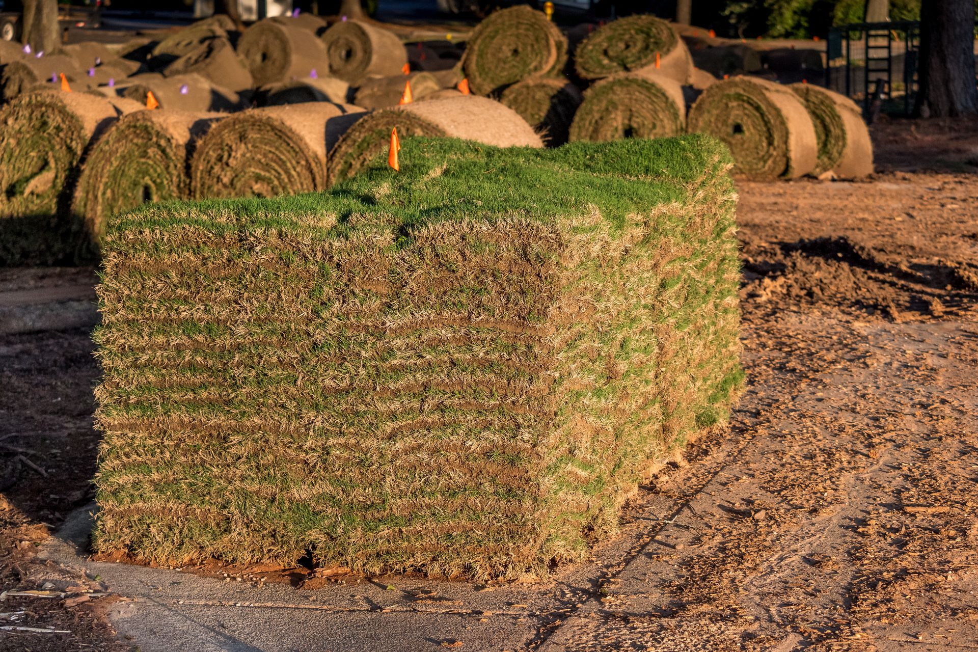 A large, rectangular stack of green turf sits on dirt, surrounded by several rolls of sod on a sunny day.