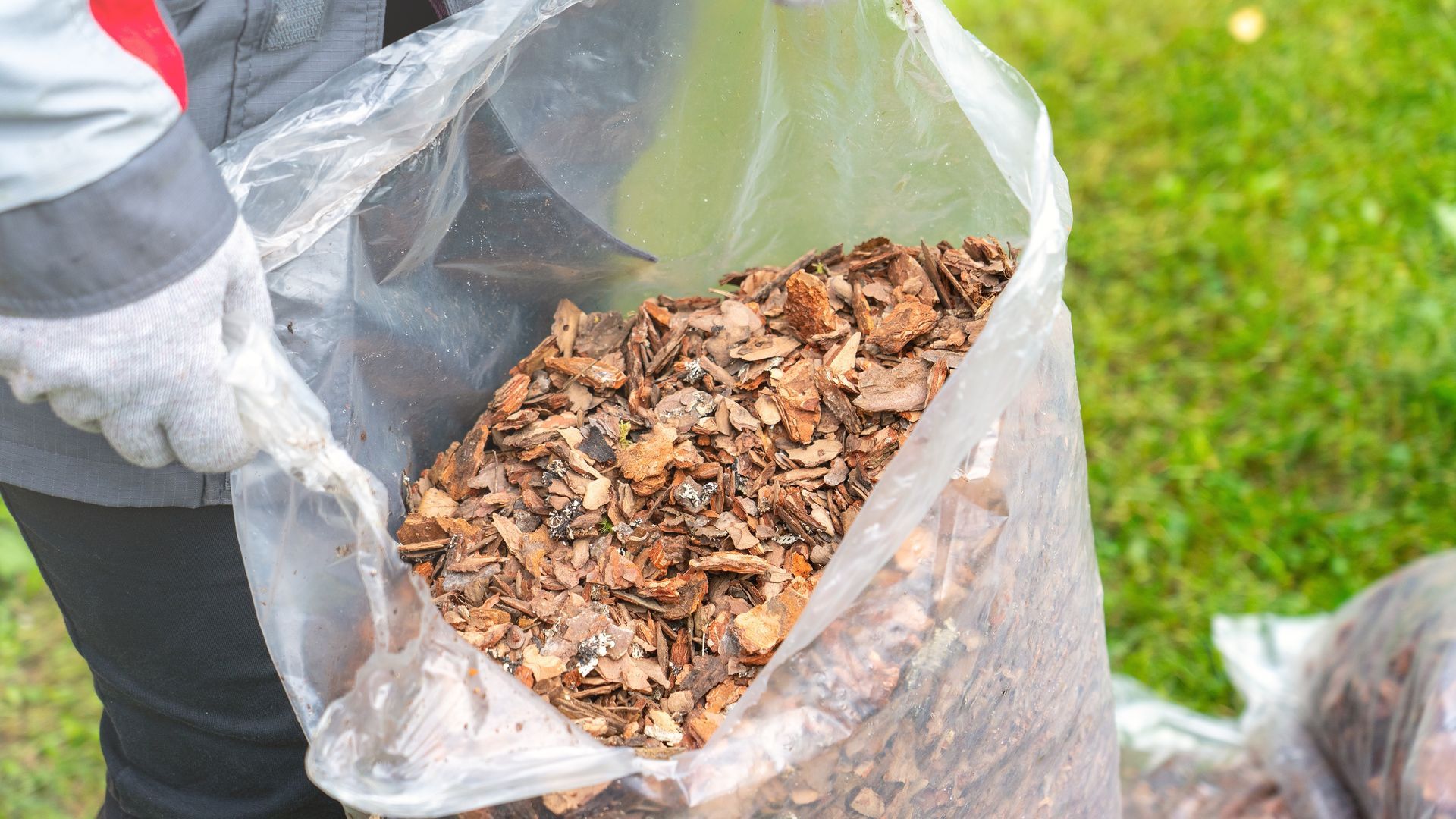 A person wearing work gloves holds a large, clear plastic bag filled with pieces of organic tree bark on a grassy lawn.