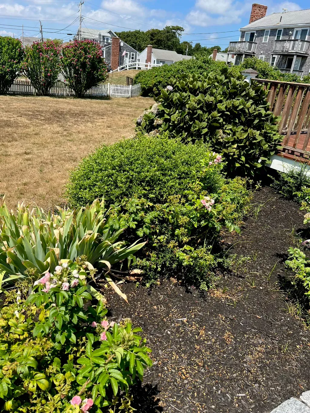 A Garden With Bushes And A Fence — Hyannis, MA — DF Landscaping