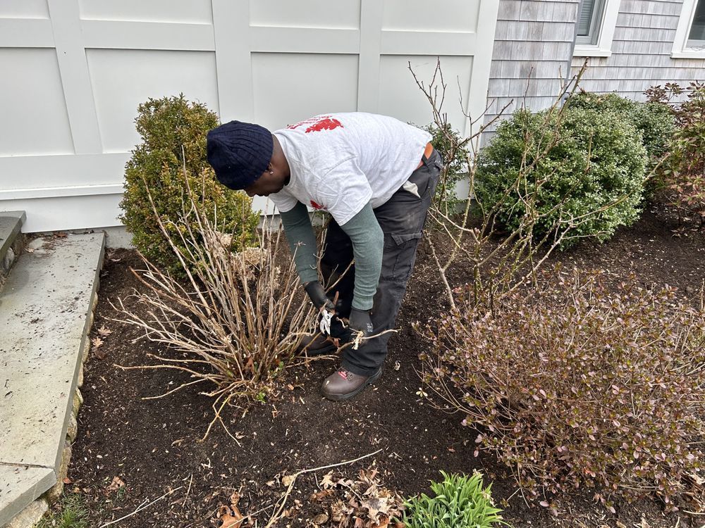 A Person Cutting Bushes In A Garden — Hyannis, MA — DF Landscaping