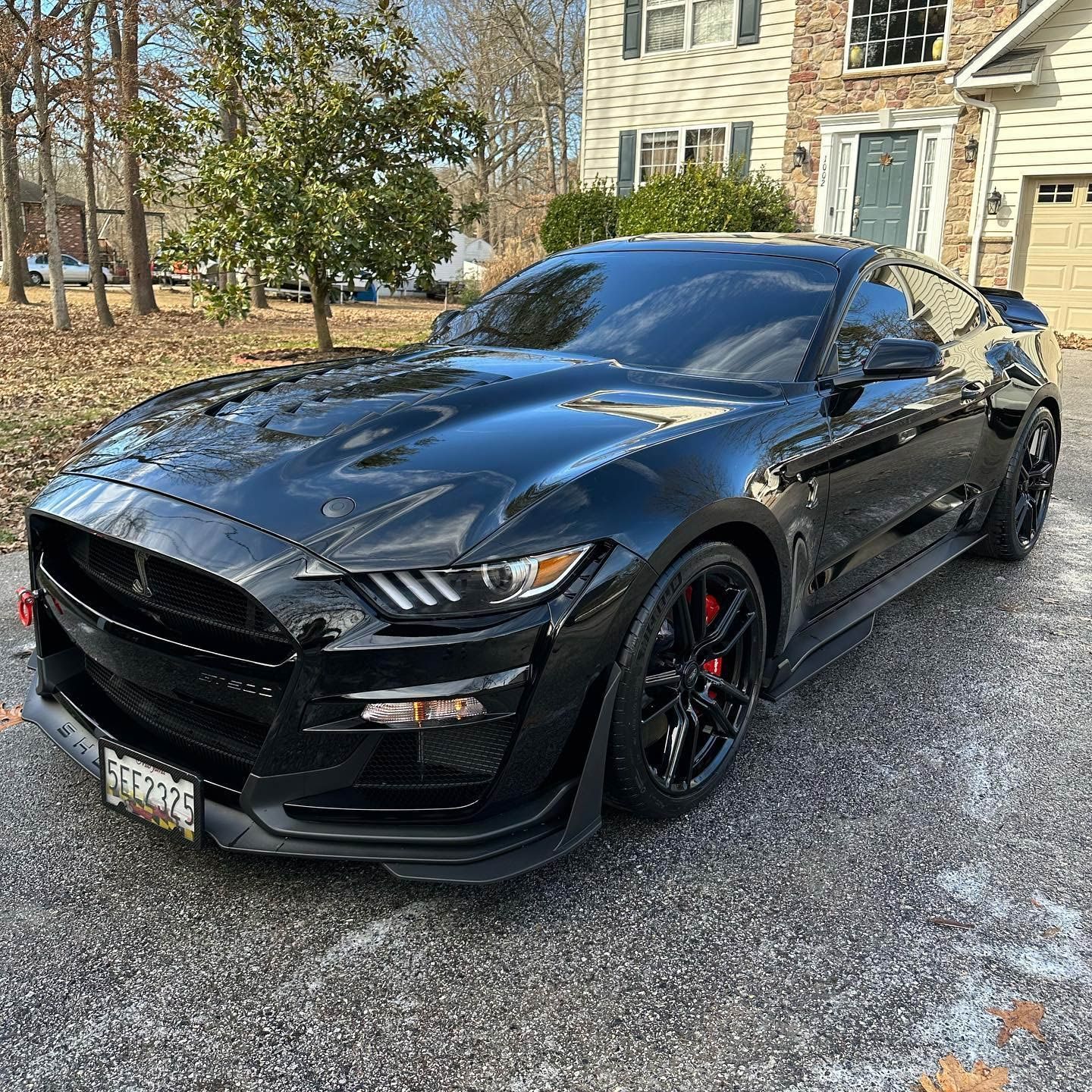 Ford Shelby GT500
