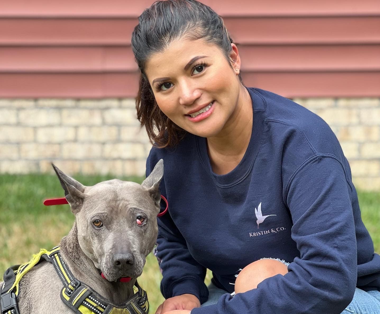 A woman is kneeling down next to a dog wearing a harness.