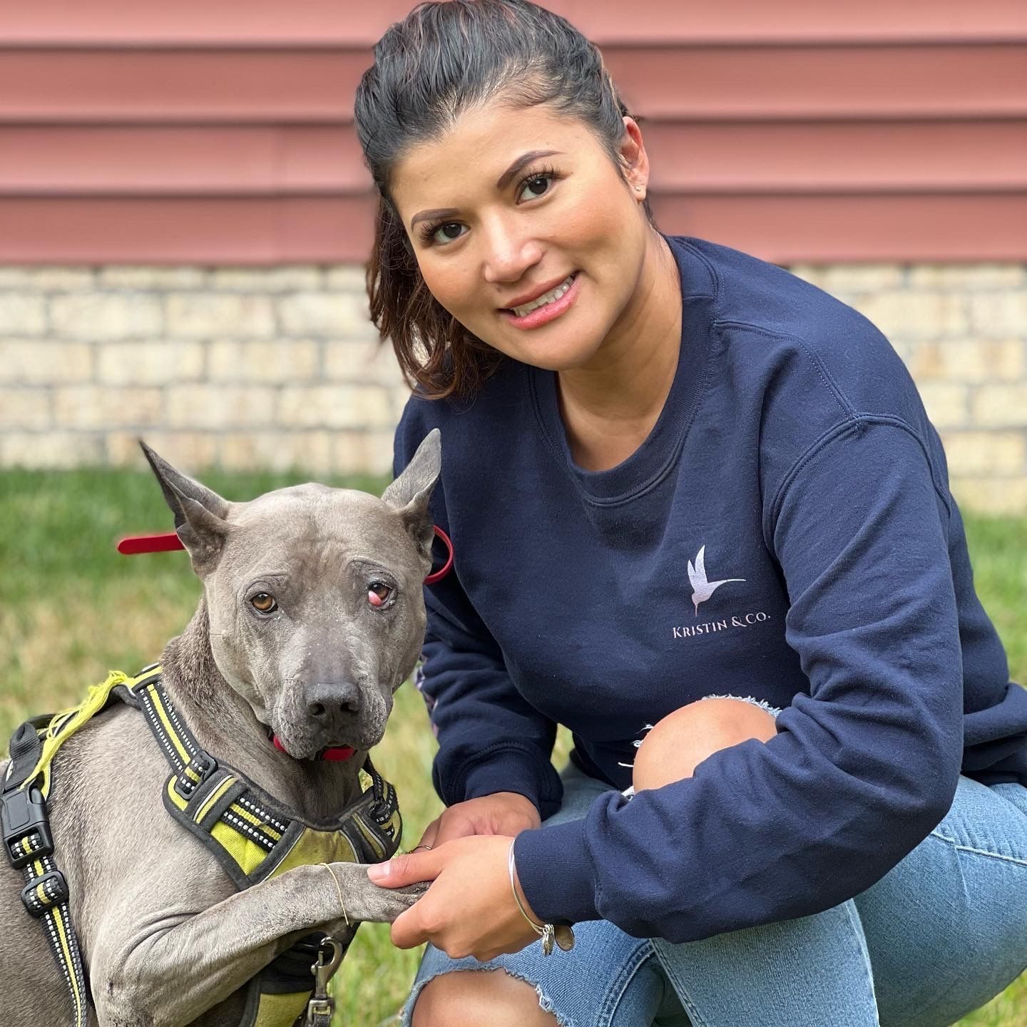 Dog in yard contained by a underground dog fence