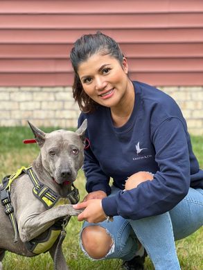 A woman is kneeling down next to a dog wearing a harness.