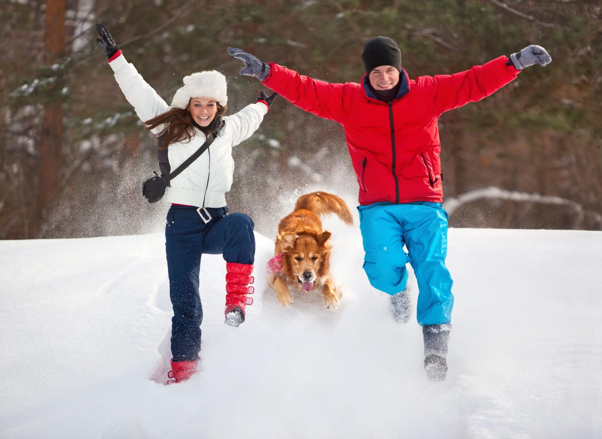 Exercise your dog in the winter